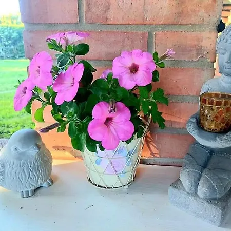 Casa de hóspedes Idylický Rodinný Arkádia Pri Dunajskej Cyklotrase Kyselica