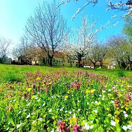 Idylicky Rodinny Arkadia Pri Dunajskej Cyklotrase Гостевой дом
