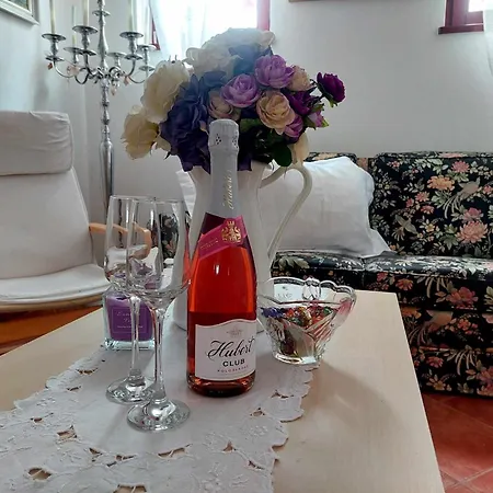 Idylický Rodinný Arkádia Pri Dunajskej Cyklotrase Casa de hóspedes Kyselica