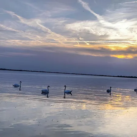 Idylický Rodinný Arkádia Pri Dunajskej Cyklotrase Casa de hóspedes 3*