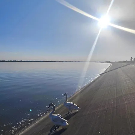 Idylický Rodinný Arkádia Pri Dunajskej Cyklotrase