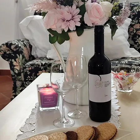 Idylický Rodinný Arkádia Pri Dunajskej Cyklotrase Kyselica