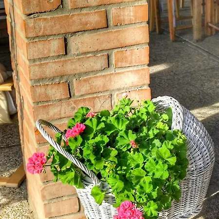 Casa de hóspedes Idylický Rodinný Arkádia Pri Dunajskej Cyklotrase 3*